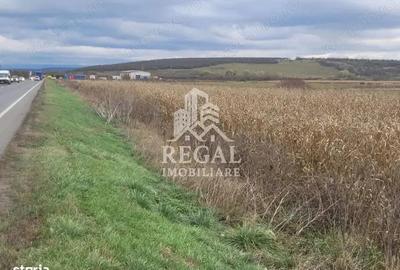 Teren de 3800 mp, în Sântandrei - 4