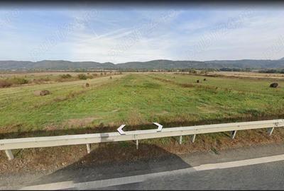 Teren de 25000 mp, în Baia de Criș - 1