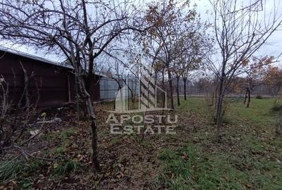 Casa alipita cu teren, necesita renovari, situata in zona Freidorf. - 6
