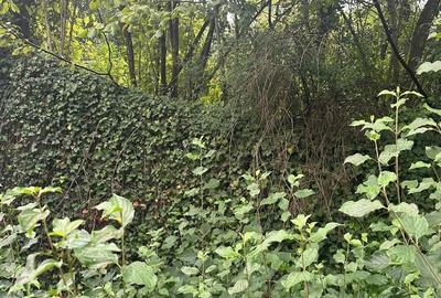 Casă individuală cu 3 camere cu Canalizare în Central - 3