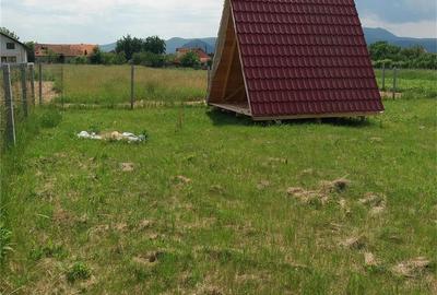 Teren de 591 mp, în Bălata - 3