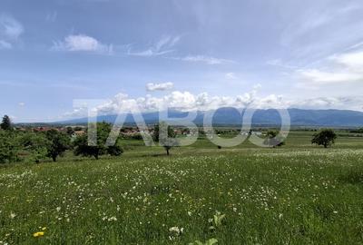COMISION 0% Teren intravilan de vanzare 4460 mp Bradu Sibiu - 6