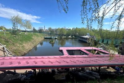 Teren Construcții intravilan de 6000 mp, în Ilișești - 8