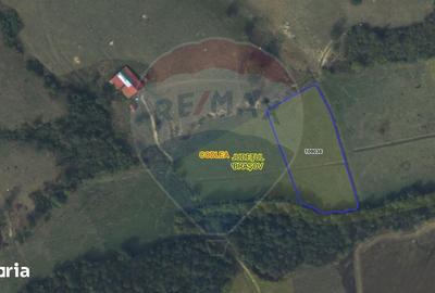 Teren de 10000 mp, în Dumbrăvița - 3