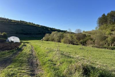 Spațiu comercial, în Sava - 2