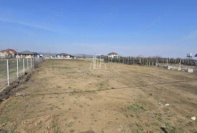 Teren de 1250 mp, în Sângeorgiu de Mureș - 3