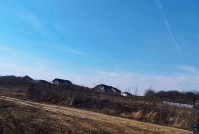 Teren intravilan de 1169 mp, în Căldăraru - 5