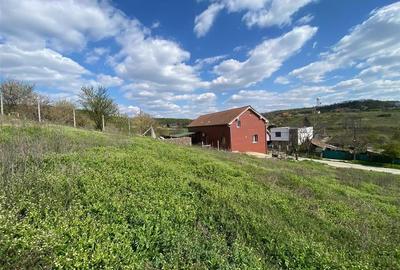 RECO Teren intravilan in  Oradea Oncea 986mp - 3