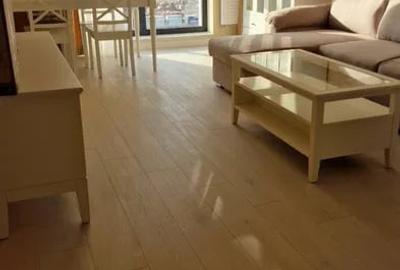 Apartament cu 2 camere decomandat, mobilat în Metalurgiei - 4