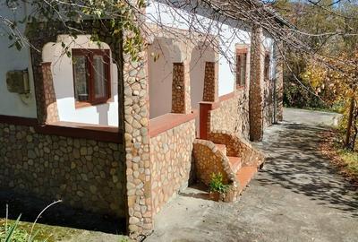 Iedera, Cricovul Dulce, casa de vanzare 90 mp, teren 2.450 mp - 8