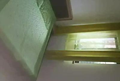 Apartament 2 camera in vila - 8