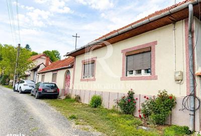 Casă cu 3 camere în Remetea - 6