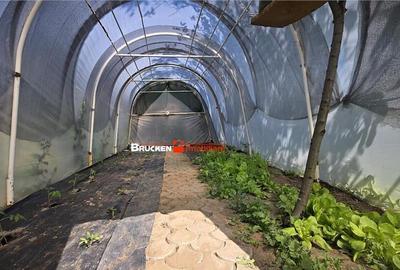 OPORTUNITATE UNICA - ULTRACENTRAL MARGHITA - 8