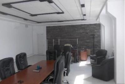 Complex industrial 30130  mp construit - Teren 42558 mp - 18