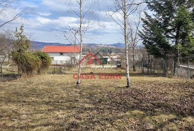 Casă cu Teren 3676 Mp în Poiana - 3