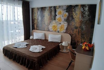 Vila cu 16 camere, ideala pentru azil de batrani sau turism - 13