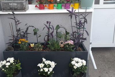 Casă cu 2 camere cu Teren 40 Mp în Pantelimon - 7