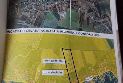 Teren de 5400 mp, în Niculești - 3