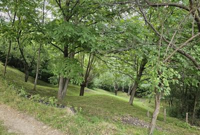 TEREN DE VANZARE SECIURI - 9