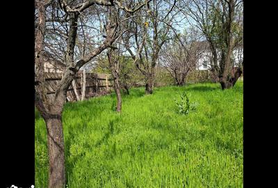 Teren de 4908 mp, în Bariera Vâlcii - 2