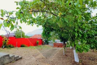 Casă individuală cu 3 camere cu Canalizare în Călărași - 4