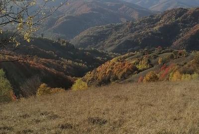 Teren de 3760 mp, în Poiana Mărului