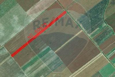 Teren 22,269mp Nuci / Strada principala - 4