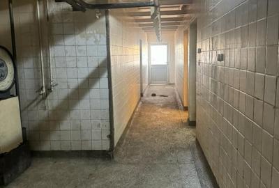 Spațiu comercial, de 380 mp, în Terezian - 12