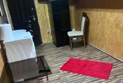 Garsonieră semidecomandată în Valea Rosie - 3