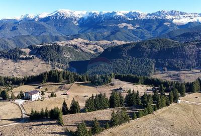 Teren de 5874 mp, în Fundata