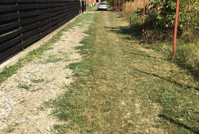 Casă cu Teren 184 Mp în Snagov - 3