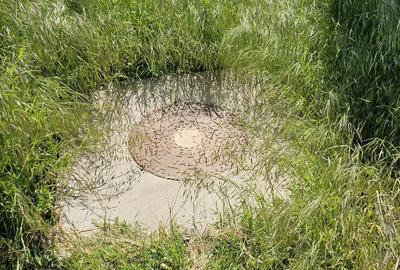 Teren de 10000 mp, în Costinești - 5