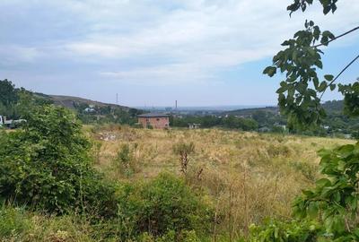 Tomesti 1900 mp. intravilan - 2