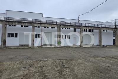 Spatiu de birouri si productie 550 mp utili de inchiriat in Fagaras - 10