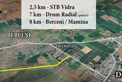 Teren intravilan 7400 mp Dobreni - Vidra - Berceni la 14 km de metrou - 4
