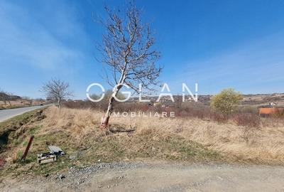 Teren Construcții intravilan de 8000 mp, în Daia