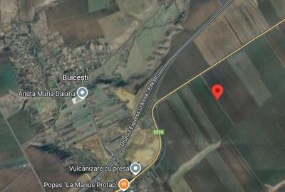 Teren extravilan 12500 mp, Valea Mare, Olt - 1