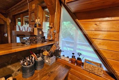 Casa de vacanta cu 4 camere,3300 mp teren,Valisoara - 14