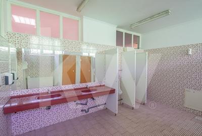 Proprietate industriala cu hale moderne, teren generos si acces Autostrada A1 Proprietate industriala cu hale moderne, teren generos si acces Autostrada A1 - 9