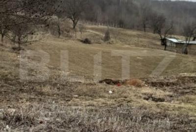 Casa batraneasca cu teren de 6700 mp intravilan, Ipatele - 2