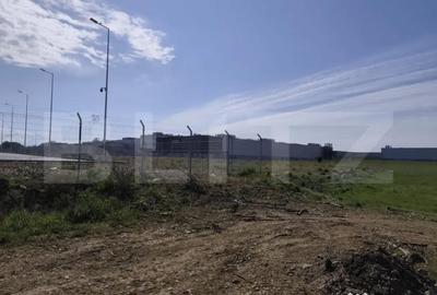 Teren de 10000 mp, în Nufărul - 4