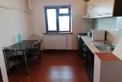 Apartament cu 2 camere decomandat în Valea Rosie - 6