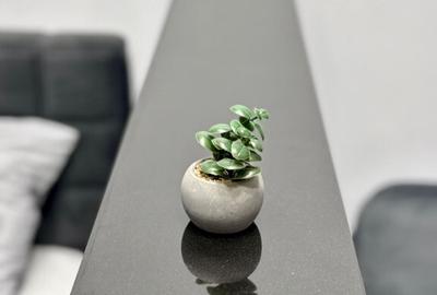 Modern Luxury Studio LED Ambient Design Premium - 4