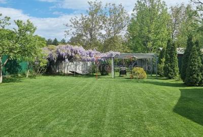 SNAGOV SAT OAZA DE LINISTE SI RELAXARE LINGA PADURE-TEREN 1200 MP - 2