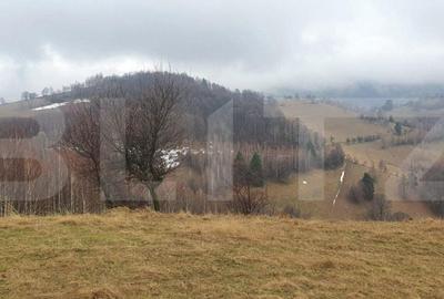 Spațiu comercial, în Paltin - 4