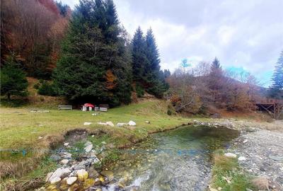 Teren intravilan panoramic 4.600mp,view iconic Piatra Craiul - 2