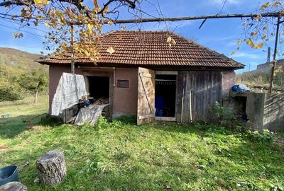 Casă cu 4 camere cu Teren 3400 Mp în Cornițel - 7