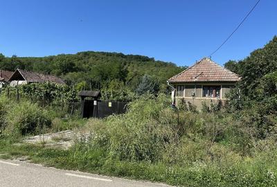 Casă cu 3 camere în Lopadea Nouă - 7