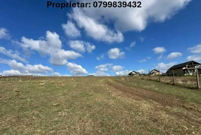 Spațiu comercial, în Ciurea - 2