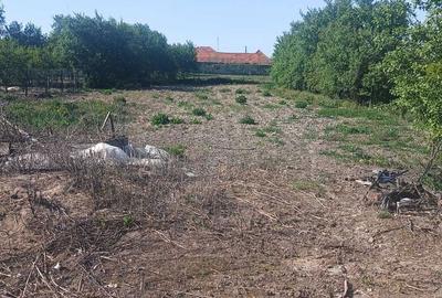 Casă cu 2 camere în Șomoșcheș - 2
